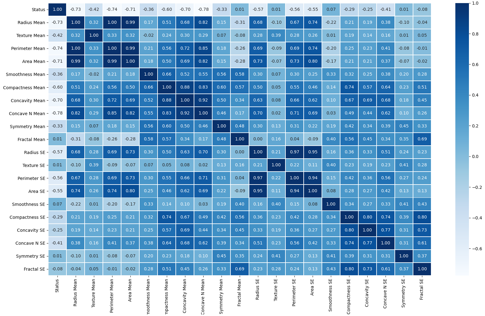 correlation-matrix